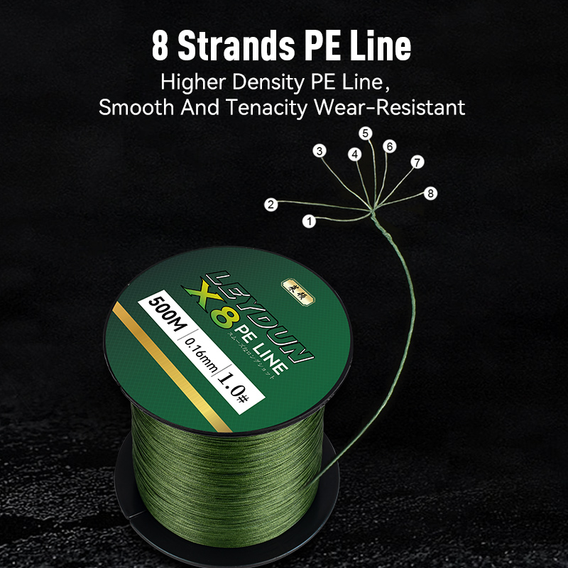 LEYDUN 500m Micro New Fishing  - Copolymer Line recension och pris